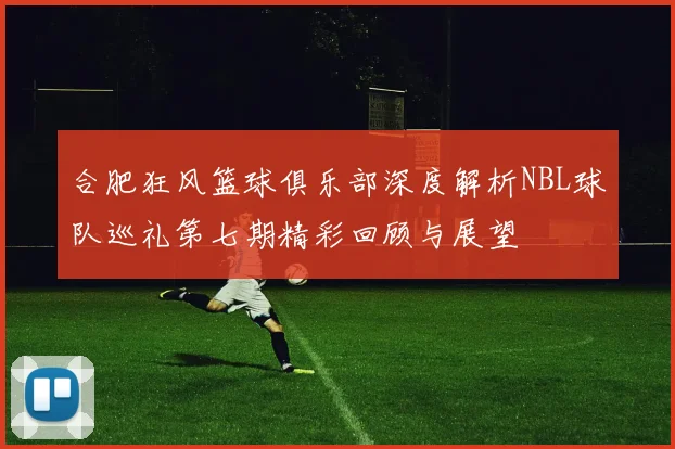 合肥狂风篮球俱乐部深度解析NBL球队巡礼第七期精彩回顾与展望