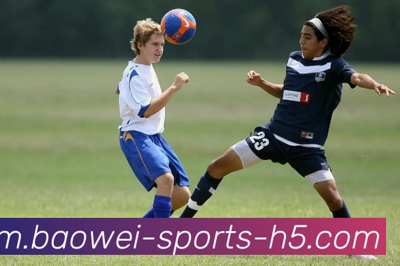 多媒体互动体验